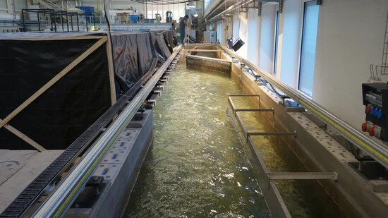 Entwicklung im Labor: Forschende bauen an der der Versuchsanstalt für Wasserbau, Hydrologie und Glaziologie an der ETH den neu gestalteten Fischleitrechen und einen seitlichen Bypasskanal und beobachten die Wanderung der Fische den Fluss hinunter.