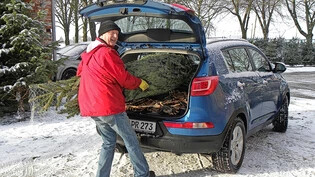 Sicher verstauen: Weihnachtsbäume können in ein Auto verladen werden – 
 sie müssen dort aber gut befestigt werden.