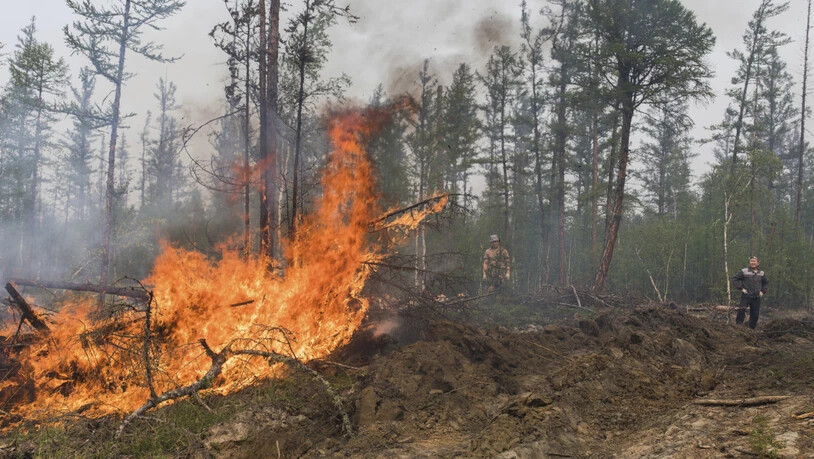 Freiwillige und Mitarbeiter löschen einen Waldbrand außerhalb des Dorfes Magaras westlich von Jakustk, der Hauptstadt der russischen Republik Sacha. In weiten Teilen Russlands kam es zu Waldbränden, die nach Einschätzungen von Umweltschützern nicht so…
