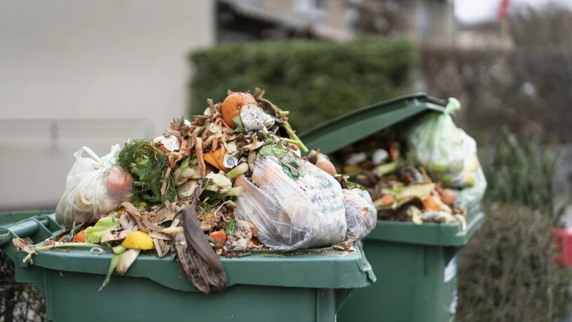 Kompostierung von Bioabfall ist eine Methode, um zu viel produzierte und/oder eingekaufte Lebensmittel zu verwerten. Besser wäre, wenn es gar nicht so weit kommen würde. Bei der angestrebten Reduktion von Food Waste um die Hälfte ist auch die Branche…