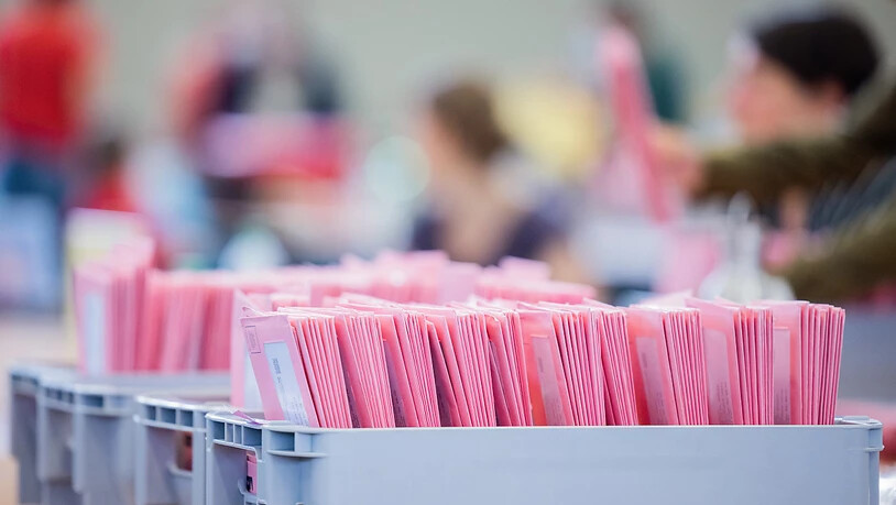 Wahlhelferinnen und Wahlhelfer öffnen bei der Auszählung der Briefwahl zur Bundestagswahl in der Messehalle 6 die rosafarbenen Umschläge. Foto: Rolf Vennenbernd/dpa