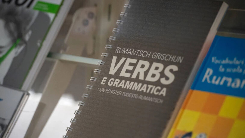 Blick auf die Lehrmittel der romanischen Sprache und Grammatik.