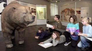 Faszinierendes Tier: Kinder einer Tagesschule aus Bern zeichnen im Alpinen Museum in Bern während einer Sonderausstellung einen Höhlenbären ab.