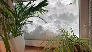 Eindrücklich: Die Schneemassen von Mühlehorn türmen sich vor dem Küchenfenster von Roswitha Zimmermann.