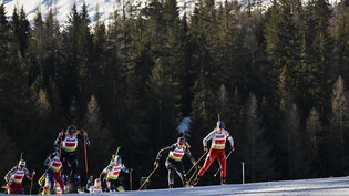 Vor einem Jahr in der Schweiz, nun in der Slowakei: Die Biathlon-Europameisterschaften starten Mitte nächster Woche.