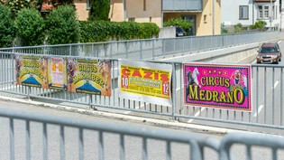 Zum Verwechseln ähnlich: An der nahe des Bahnhofs gelegenen Fussgängerbrücke, die über die Hauptstrasse führt, werben derzeit beide «Bündner» Zirkusse für ihre Vorführungen.