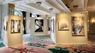 Eine Landschaft im Ballsaal: Die Fotografien von Robert Bösch hängen im «Carlton Hotel» an grossen, weissen Kuben von Maddalena Mora.