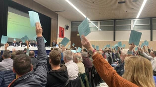 Die Meinungen sind gemacht: Glarus Nord soll eine neue Gemeindeorganisation bekommen, hat im November die Gemeindeversammlung entschieden.