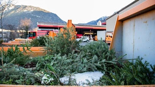 Von der Stube in die Deponie: Nach Weihnachten gilt es, den Christbaum richtig zu entsorgen. Das Bild zeigt gesammelte Tannenbäume beim Churer Werkhof.